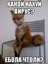 какой нахуй вирус? ебола чтоли?