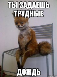 Ты задаешь трудные Дождь