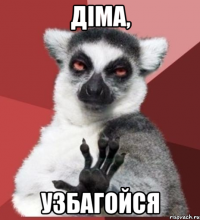 діма, узбагойся