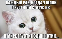 Каждый раз, когда у Юлии грустный статус ВК в мире грустит один котик...