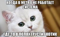 Когда в METRO не работает система где-то в полях грустит котик