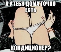 А у тебя дома точно есть кондиционер?