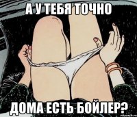 А У ТЕБЯ ТОЧНО ДОМА ЕСТЬ БОЙЛЕР?