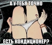 а у тебя точно есть кондиционер?