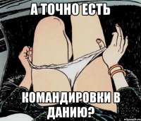 а точно есть командировки в данию?