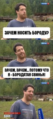 Зачем носить бороду? Зачем, зачем... Потому что я - бородатая свинья!