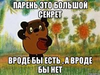 Парень это большой секрет Вроде бы есть , а вроде бы нет