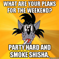 What are your plans for the weekend? Party hard and smoke shisha.