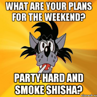 What are your plans for the weekend? Party hard and smoke shisha?