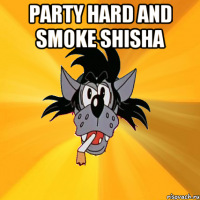 Party hard and smoke shisha 