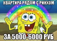 Квартира рядом с РИНХом за 5000-6000 руб