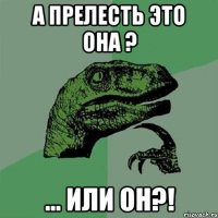 А прелесть это она ? ... Или он?!