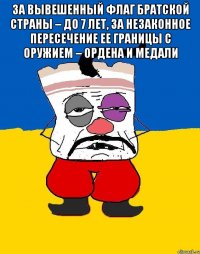 За вывешенный флаг братской страны – до 7 лет, за незаконное пересечение ее границы с оружием – ордена и медали 