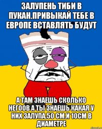 Залупень тиби в пукан.привыкай тебе в европе вставлять будут А там знаешь сколько негоов а ты знаешь какая у них залупа.50 см.и 10см в диаметре