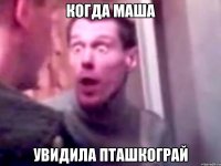 Когда маша увидила Пташкограй