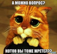 а можно вопрос? Котов вы тоже жрете???