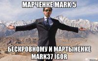 марченке MARK 5 бескровному и мартыненке MARK37 igor