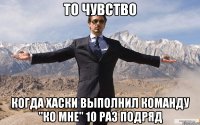 ТО ЧУВСТВО КОГДА ХАСКИ ВЫПОЛНИЛ КОМАНДУ "КО МНЕ" 10 РАЗ ПОДРЯД