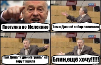 Прогулка по Мелекино Там с Дианой забор поломали Там Дина "Курочку Гриль" на гору тащила Блин,ещё хочу!!!!!