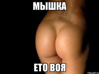 мышка ето воя