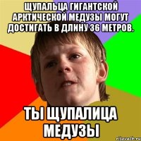 Щупальца гигантской арктической медузы могут достигать в длину 36 метров. Ты щупалица медузы