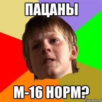 ПАЦАНЫ М-16 НОРМ?