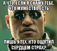 а что, если я скажу тебе, что мужество есть лишь у тех, кто ощутил сердцем страх?