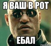 Я ваш в рот Ебал