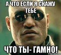 а что если я скажу тебе что ты- гамно!