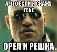 a что если я скажу тебе Орел и Решка