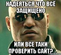 Надеяться что всё защищено или все таки проверить сайт?