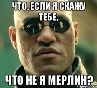 Что, если я скажу тебе, что не я Мерлин?