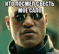 кто посмел съесть мое сало 