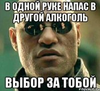 в одной руке напас в другой алкоголь выбор за тобой