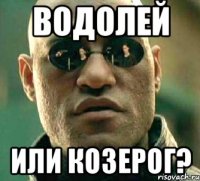 Водолей или Козерог?