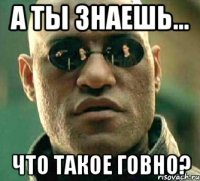 А ты знаешь... Что такое говно?