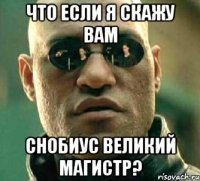 Что если я скажу вам Снобиус великий магистр?