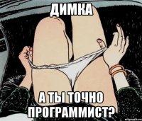 Димка А ты точно программист?