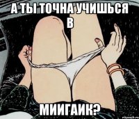 А ты точна учишься в МИИГАиК?