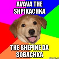 Avava the shpikachka The shepine da sobachka