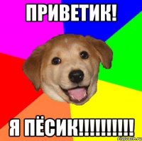 Приветик! Я Пёсик!!!!!!!!!!