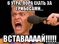 6 утра, пора ехать за грибосами... ВСТАВААААЙ!!!!!