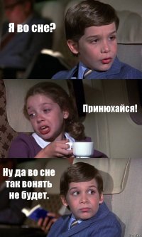 Я во сне? Принюхайся! Ну да во сне так вонять не будет.