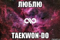 Люблю Taekwon-do