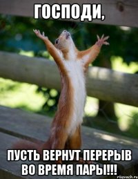 Господи, пусть вернут перерыв во время пары!!!