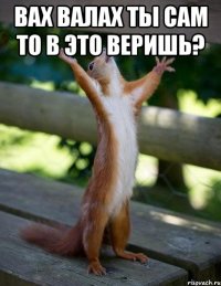 ВАХ ВАЛАХ ТЫ САМ ТО В ЭТО ВЕРИШЬ? 