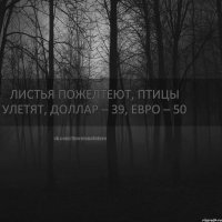 Листья пожелтеют, Птицы улетят, Доллар – 39, Евро – 50