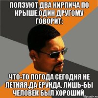 ПОЛЗУЮТ ДВА КИРПИЧА ПО КРЫШЕ.ОДИН ДРУГОМУ ГОВОРИТ: чТО-ТО ПОГОДА СЕГОДНЯ НЕ ЛЕТНЯЯ.дА ЕРУНДА, ЛИШЬ-БЫ ЧЕЛОВЕК БЫЛ ХОРОШИЙ.