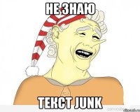 НЕ ЗНАЮ ТЕКСТ JUNK