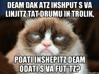 Deam dak atz inshput s va linjitz tat drumu in trolik, poati inshepitz deam odati s va fut*tz?